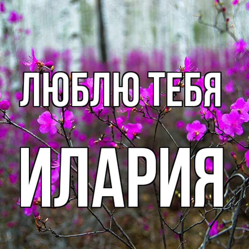 Открытка с именем, Илария, Люблю тебя