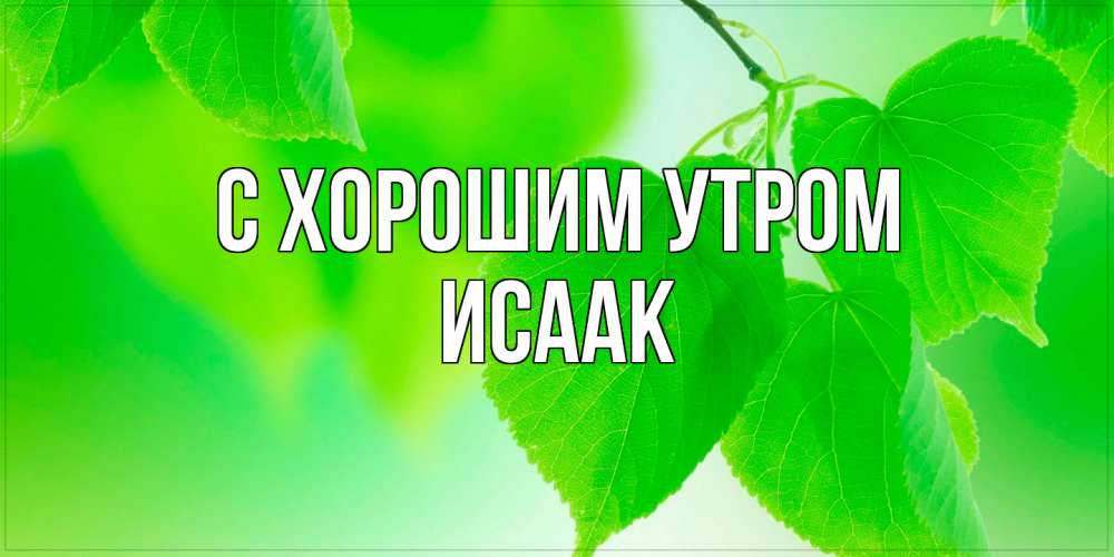 Открытка на каждый день с именем, Исаак С хорошим утром доброе утро с березовыми листьями Прикольная открытка с пожеланием онлайн скачать бесплатно 
