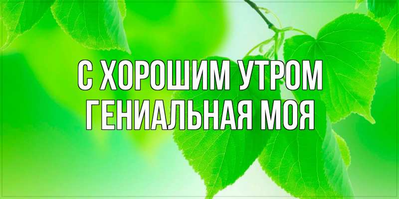 Картинка С хорошим утром, Гениальная моя