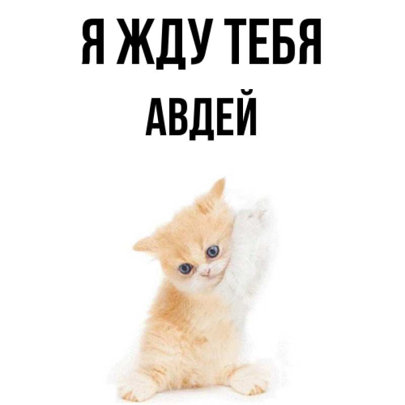 Открытка с именем, Авдей, Я жду тебя
