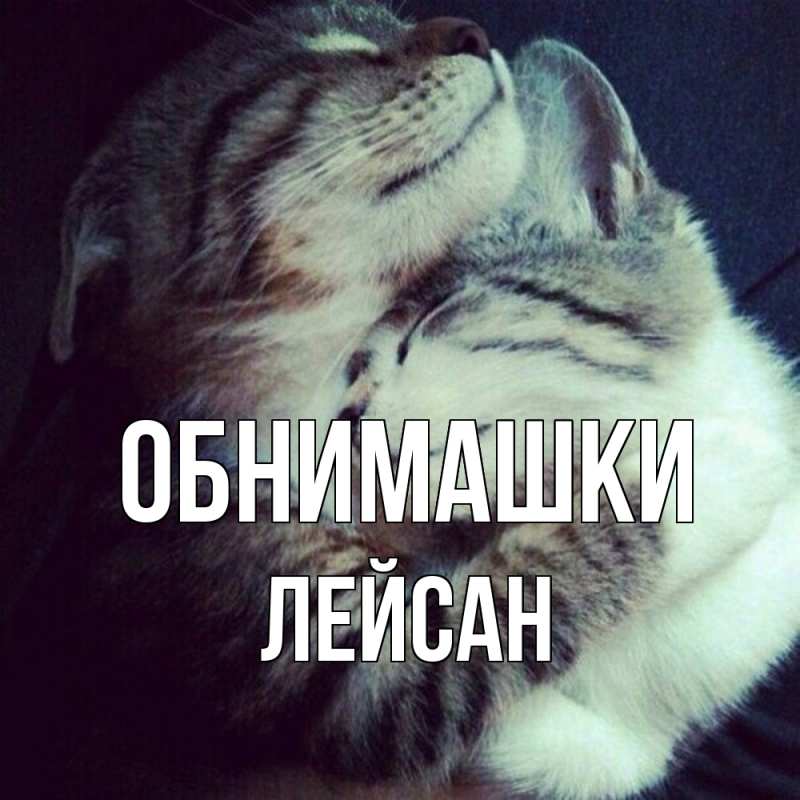 Открытка с именем, Лейсан, Обнимашки