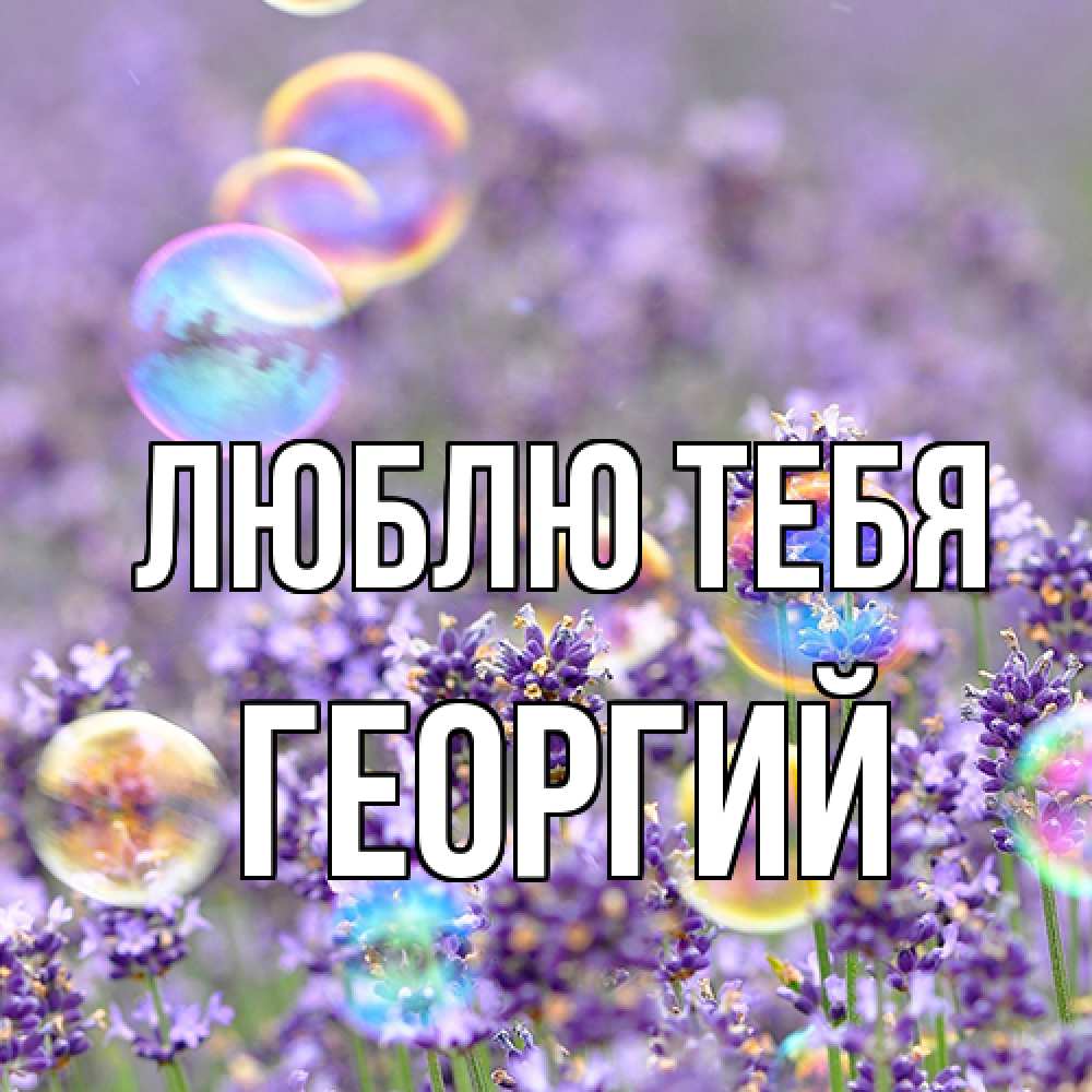 Открытка на каждый день с именем, Георгий Люблю тебя цветы Прикольная открытка с пожеланием онлайн скачать бесплатно 