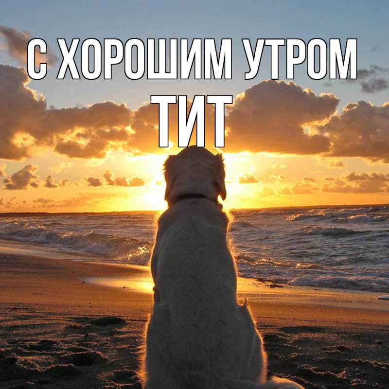 Картинка С хорошим утром, Тит