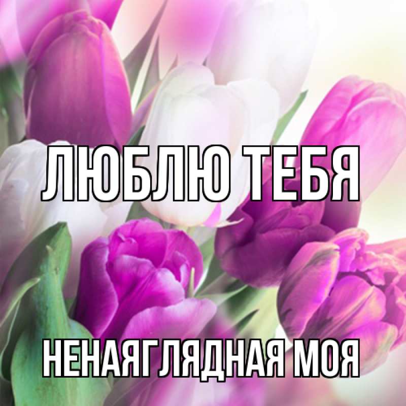 Картинка Люблю тебя, Ненаяглядная моя