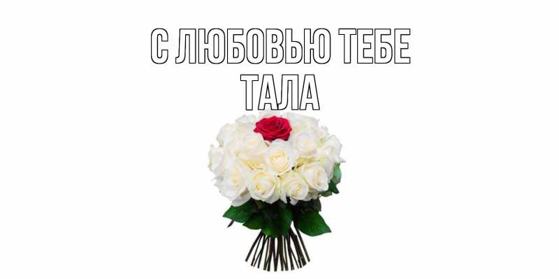 Картинка С любовью тебе, Тала