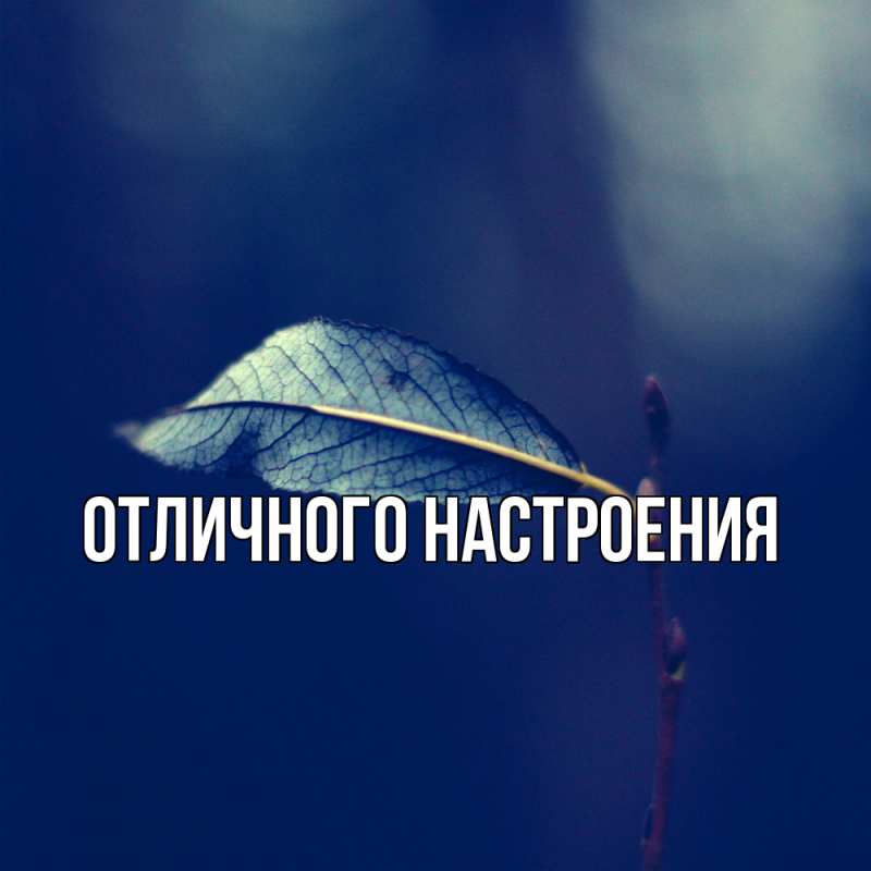 Картинка Скучашки, Песподобная