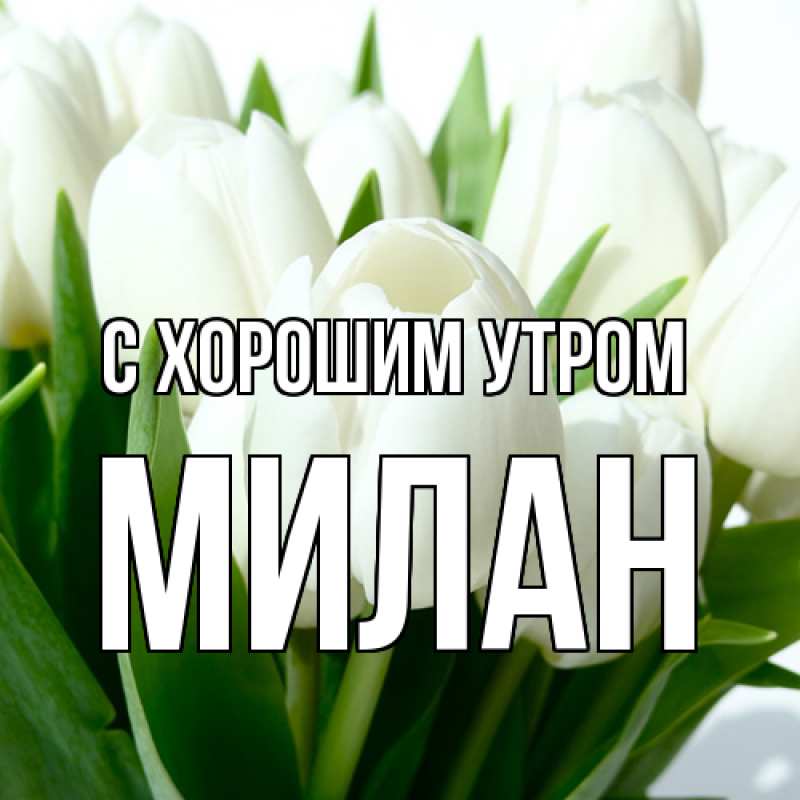 Картинка С хорошим утром, Милан