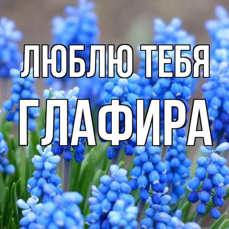 Картинка Люблю тебя, Глафира