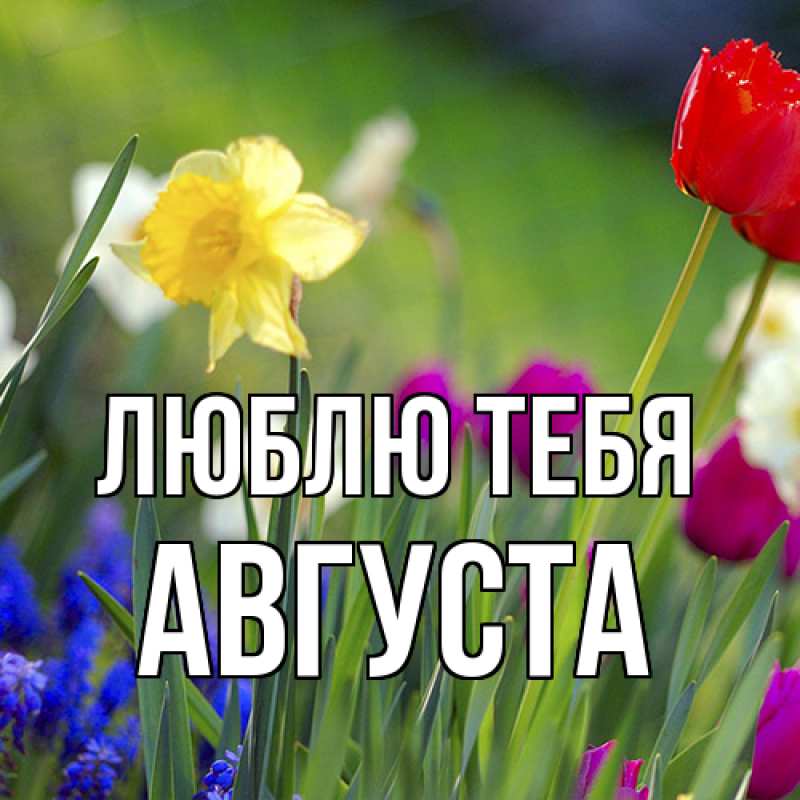 Картинка Люблю тебя, Августа