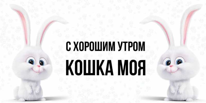 Картинка С хорошим утром, Кошка моя