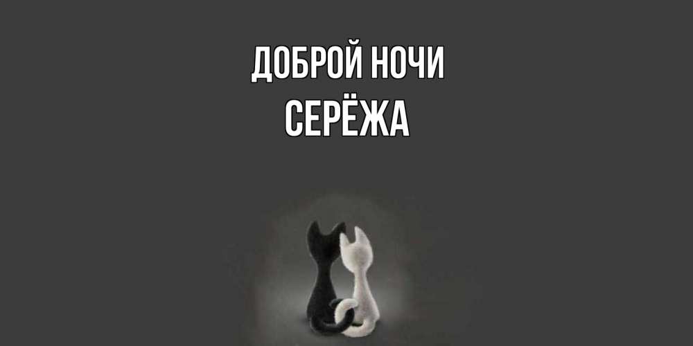 Открытка на каждый день с именем, Серёжа Доброй ночи коты Прикольная открытка с пожеланием онлайн скачать бесплатно 
