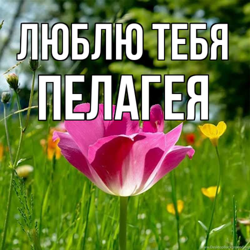 Картинка Люблю тебя, Пелагея