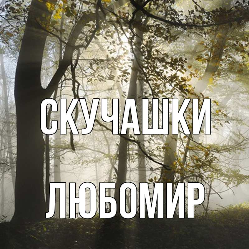 Открытка с именем, Любомир, Скучашки