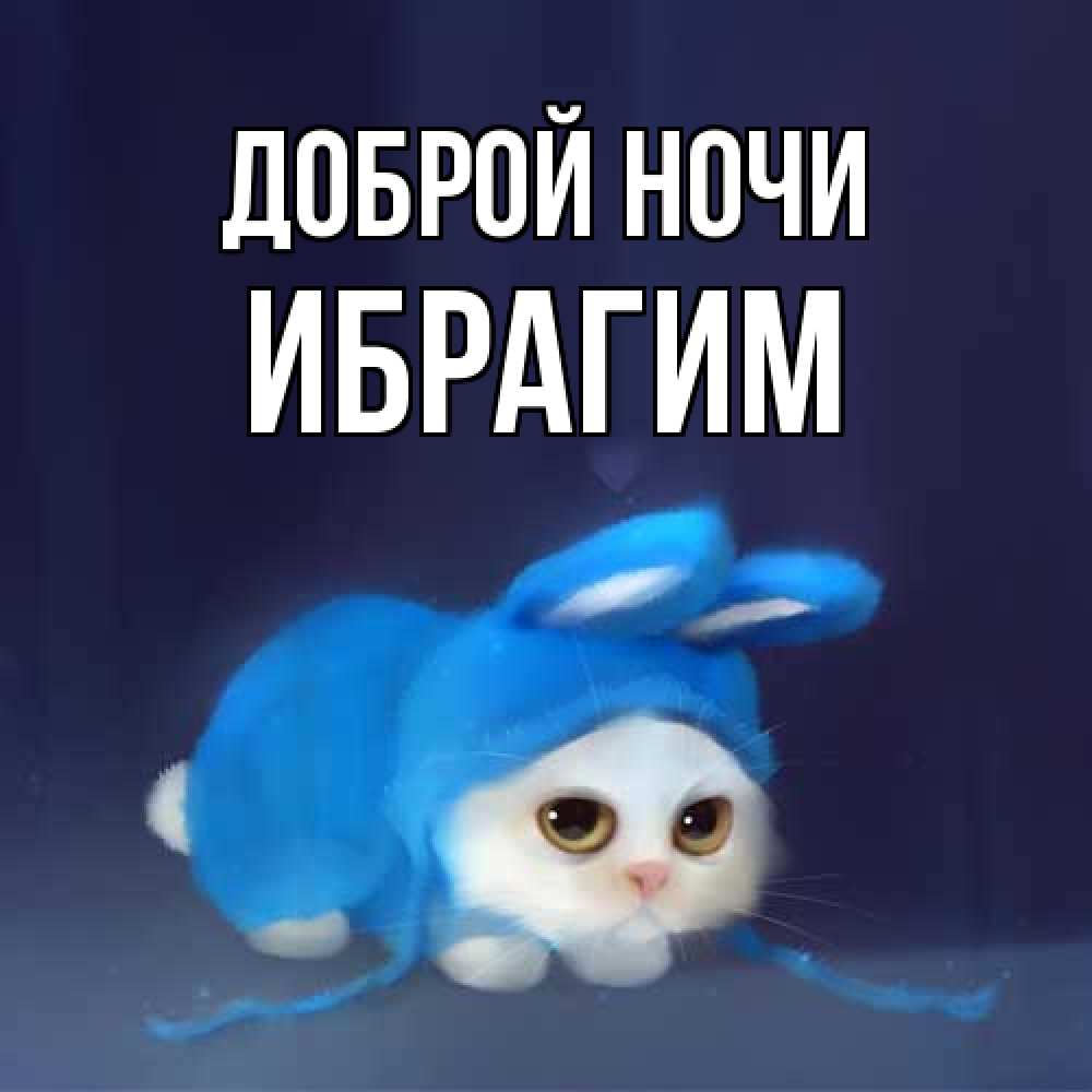 Открытка на каждый день с именем, Ибрагим Доброй ночи кот в голубом костюме кролика с ушками Прикольная открытка с пожеланием онлайн скачать бесплатно 