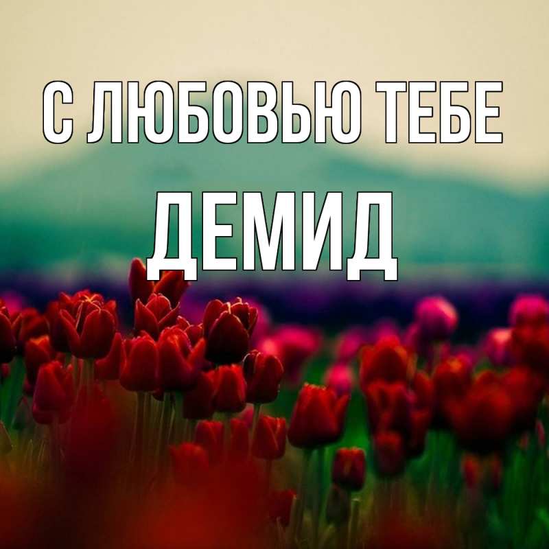Картинка С любовью тебе, Демид