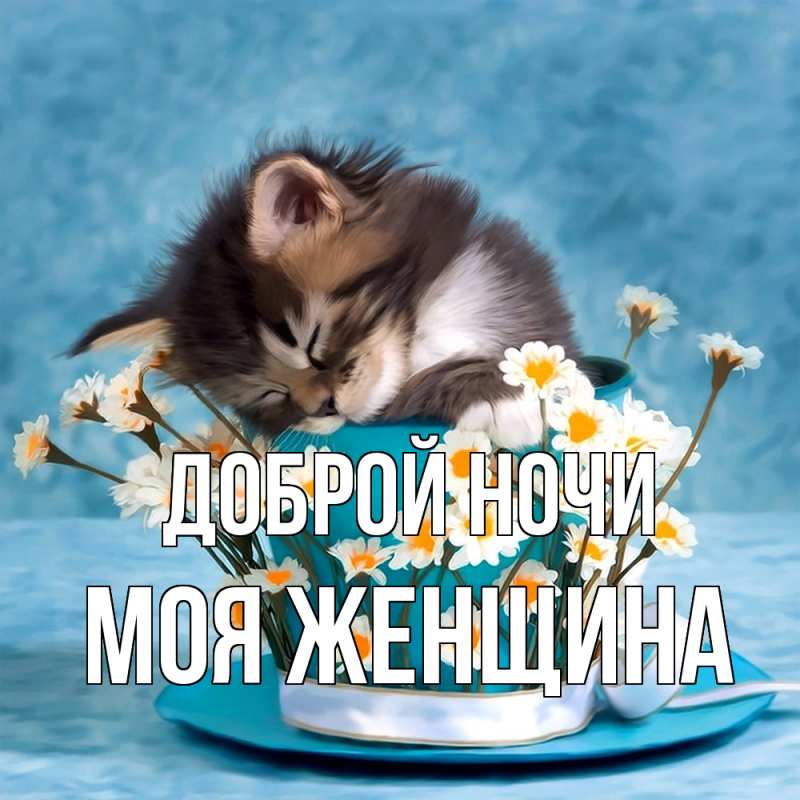 Картинка Доброй ночи, Моя женщина