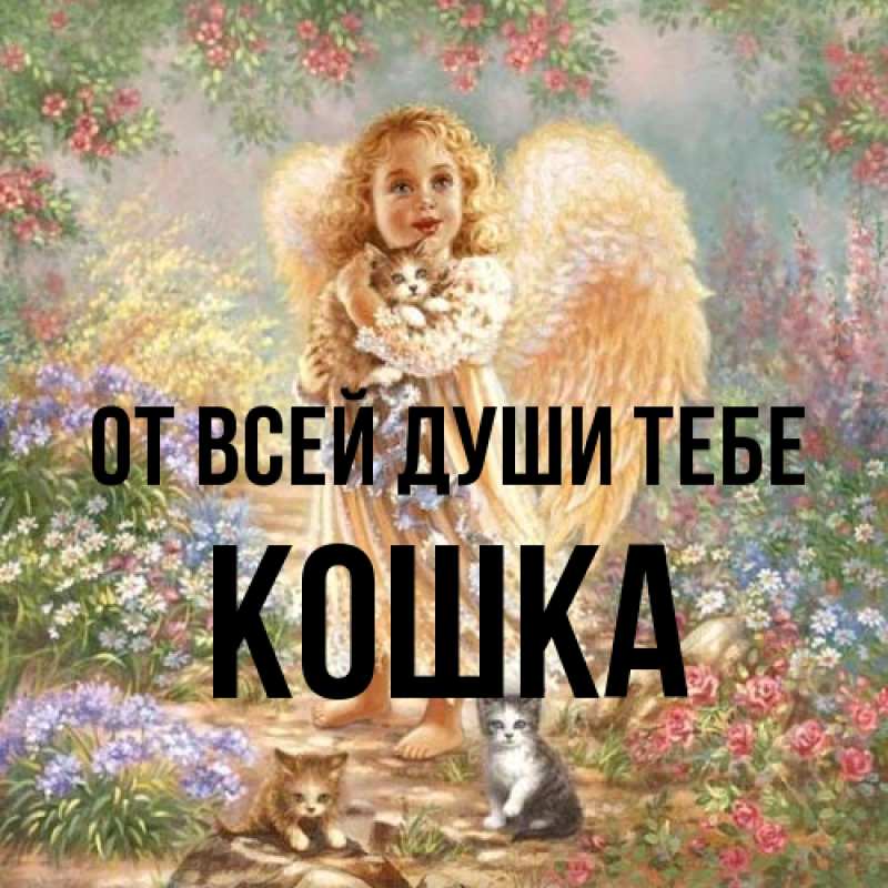 Картинка От всей души тебе, Кошка