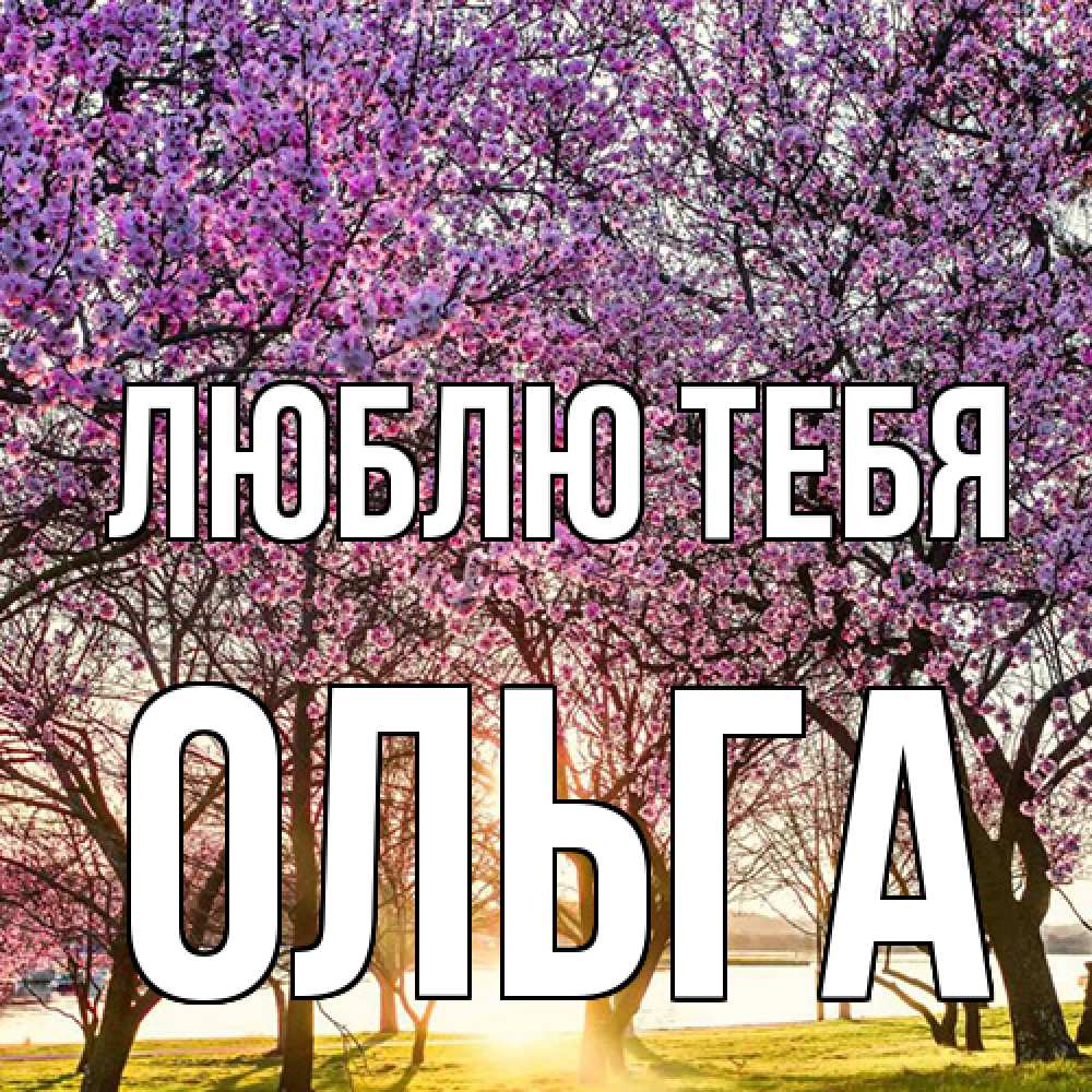 Открытка на каждый день с именем, Ольга Люблю тебя международный женский день Прикольная открытка с пожеланием онлайн скачать бесплатно 