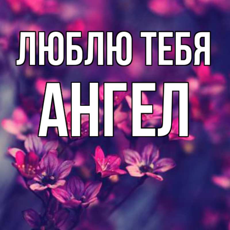 Картинка Люблю тебя, Ангел