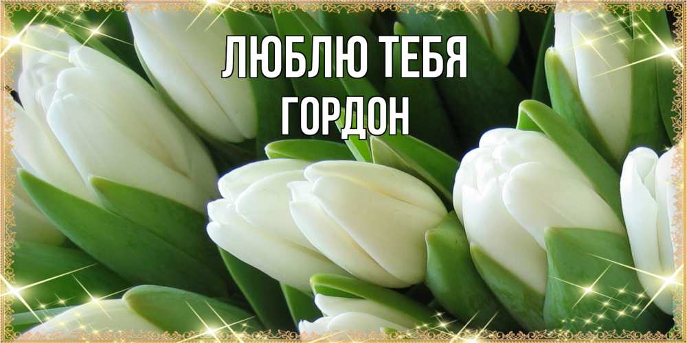 Открытка на каждый день с именем, Гордон Люблю тебя поздравляем с 8 марта Прикольная открытка с пожеланием онлайн скачать бесплатно 