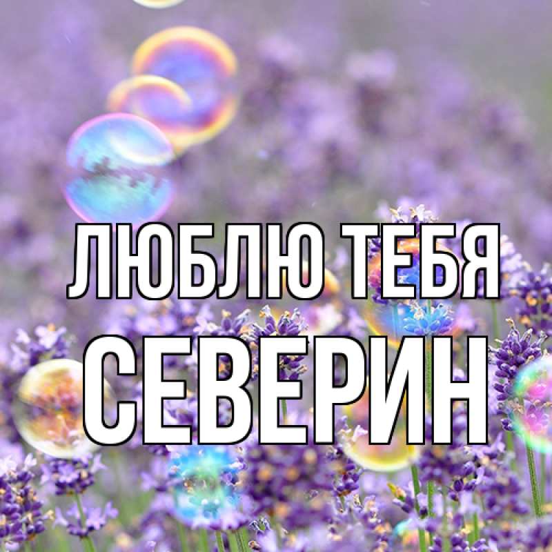 Картинка Люблю тебя, Северин