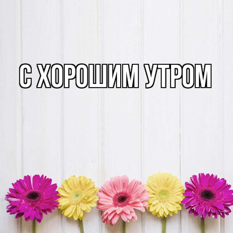 Картинка Люблю тебя, Арно