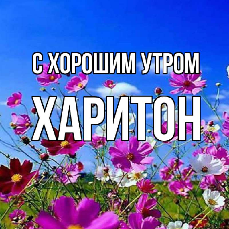 Картинка С хорошим утром, Харитон