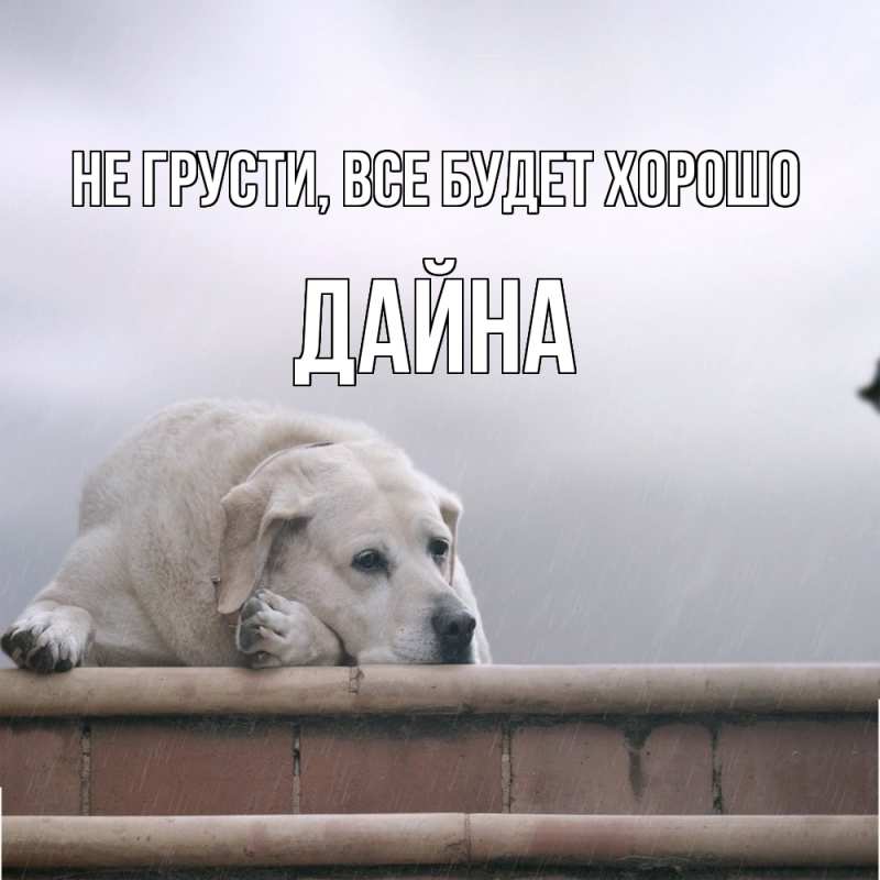 Картинка Не грусти, все будет хорошо, Дайна
