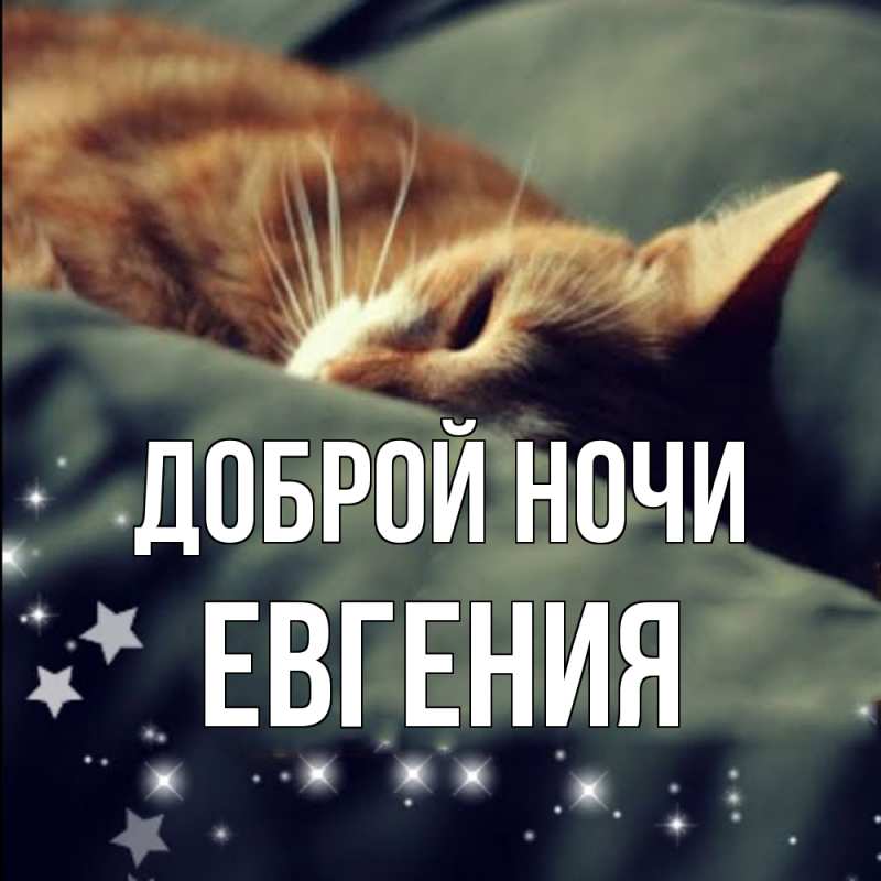 Картинка Доброй ночи, Евгения