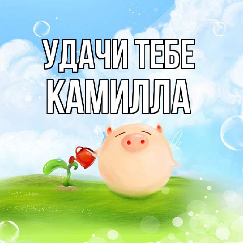 Картинка Удачи тебе, Камилла