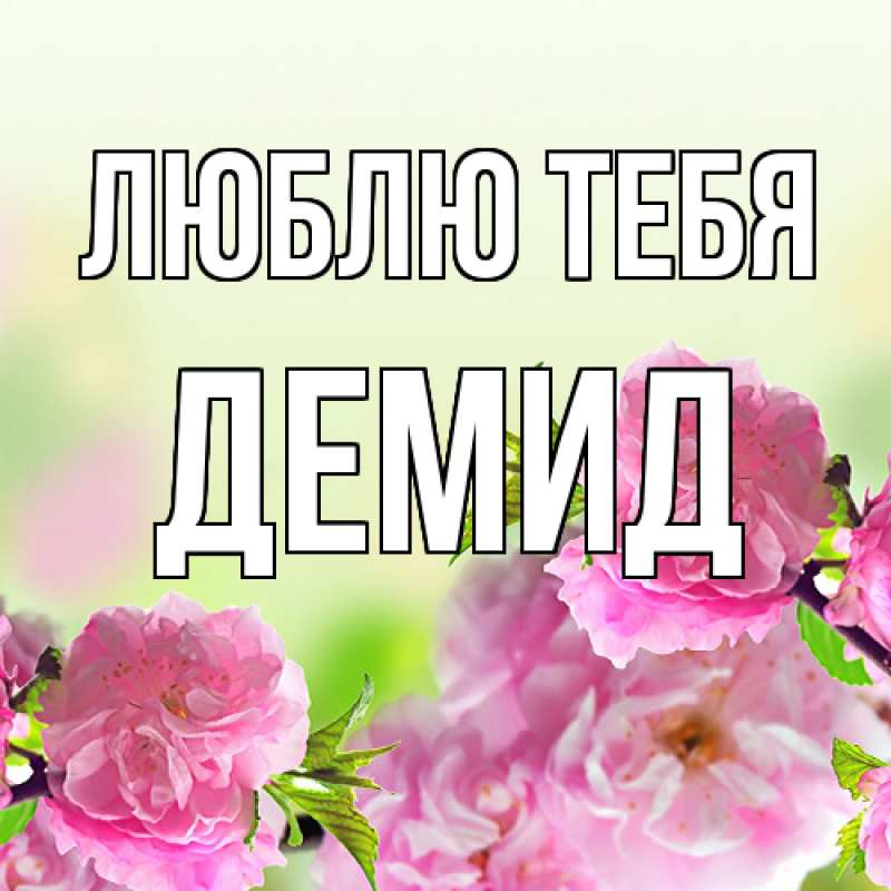 Картинка Люблю тебя, Демид