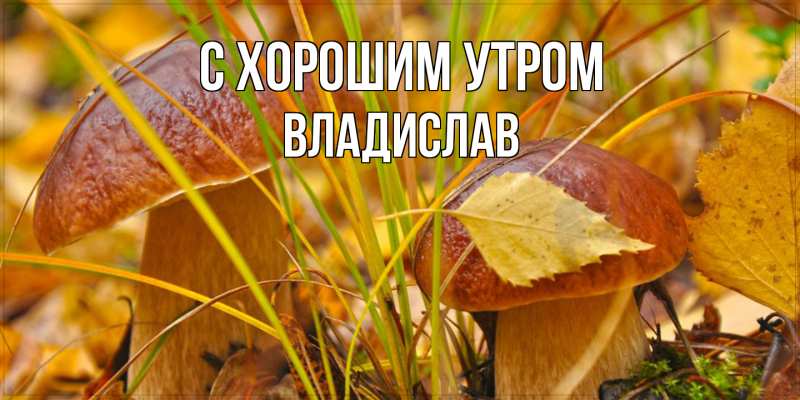 Картинка С хорошим утром, Владислав