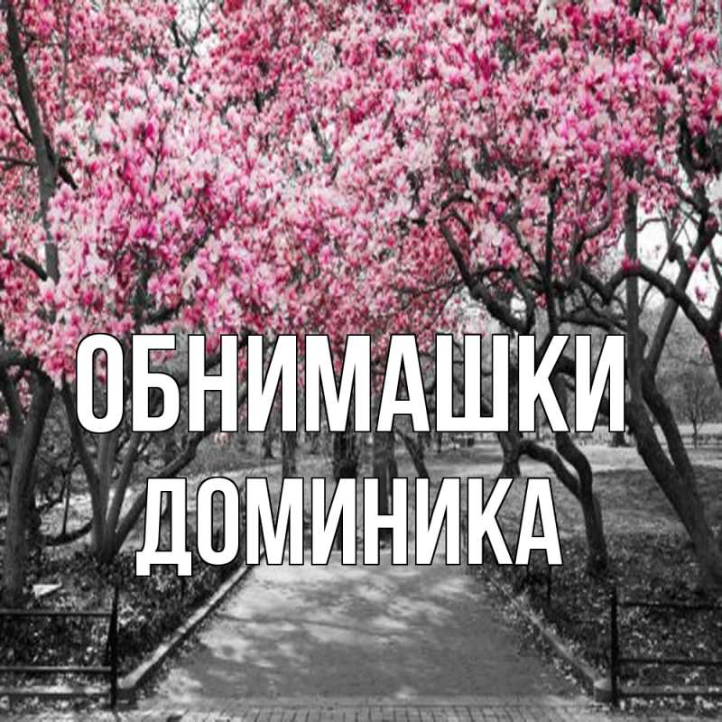 Картинка Обнимашки, Доминика