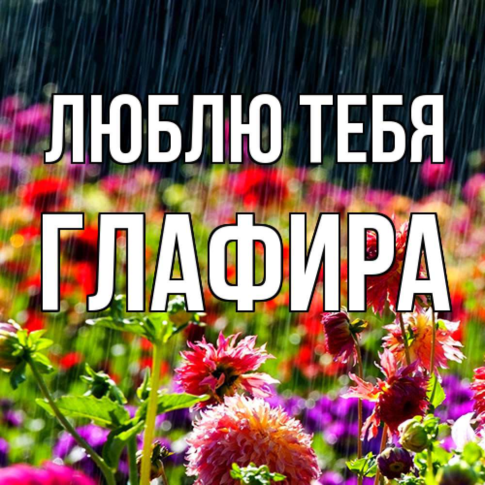 Открытка на каждый день с именем, Глафира Люблю тебя цветы под дождиком к международному женскому дню Прикольная открытка с пожеланием онлайн скачать бесплатно 