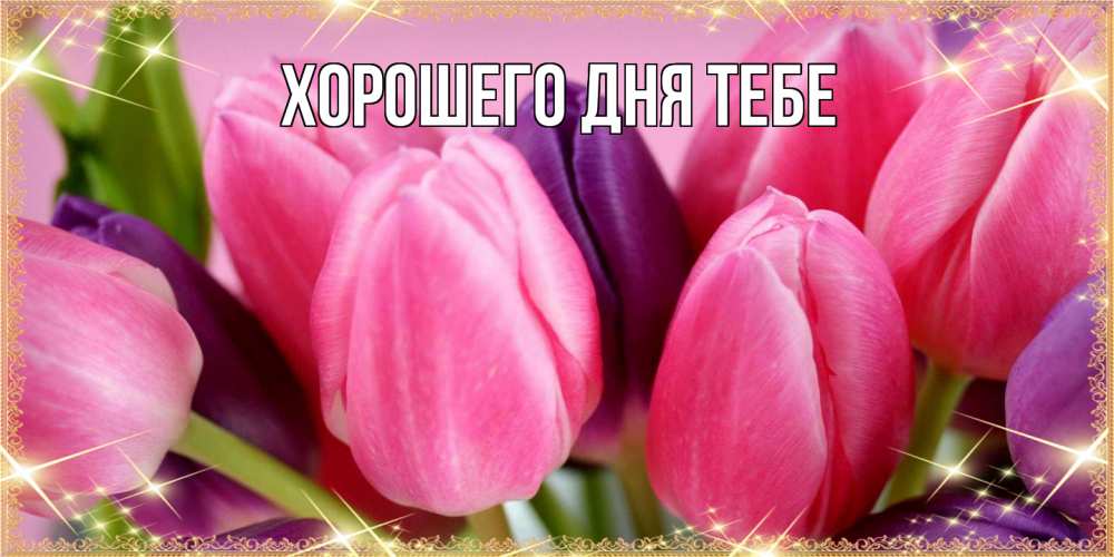 Открытка на каждый день с именем, Родной Люблю тебя тюльпаны для женщины на международный женский день Прикольная открытка с пожеланием онлайн скачать бесплатно 