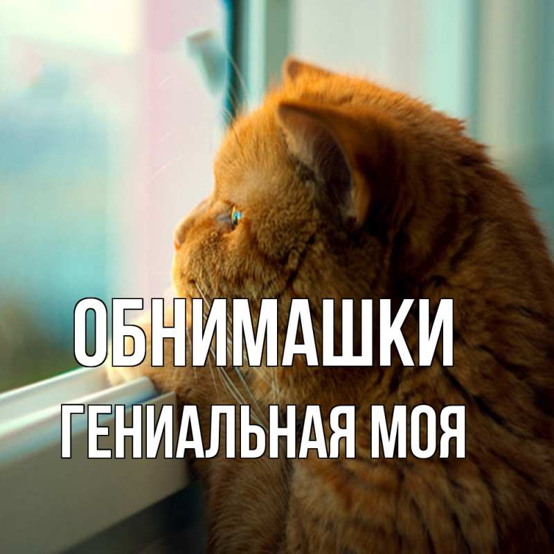 Картинка Обнимашки, Гениальная моя