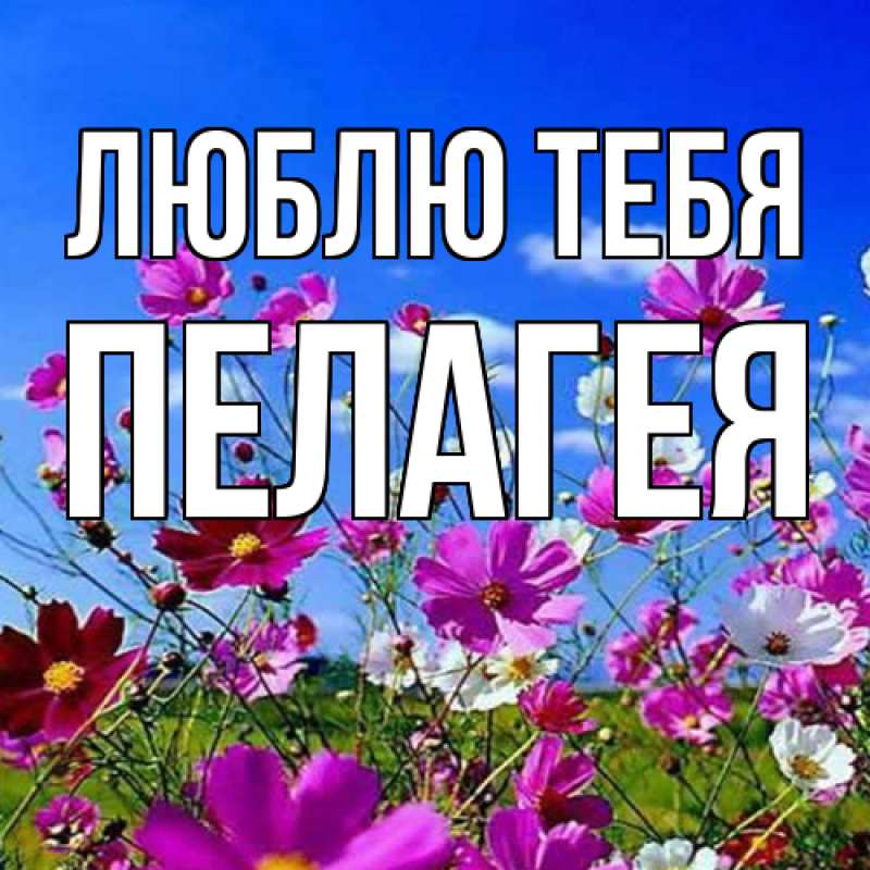 Картинка Люблю тебя, Пелагея