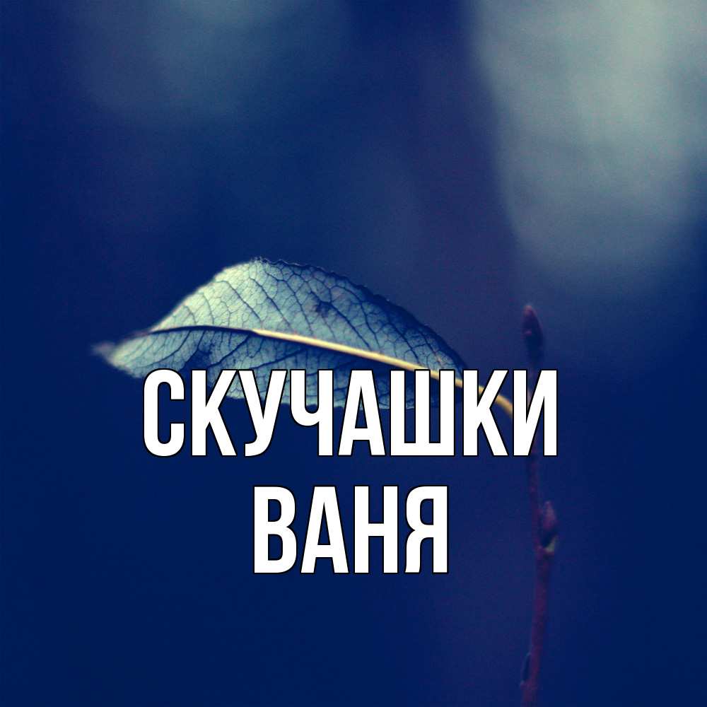 Открытка на каждый день с именем, Ваня Скучашки одна ветка 1 Прикольная открытка с пожеланием онлайн скачать бесплатно 