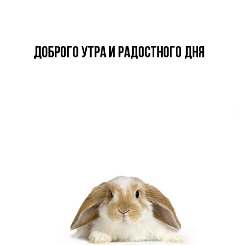 Картинка Не грусти, все будет хорошо, Ия