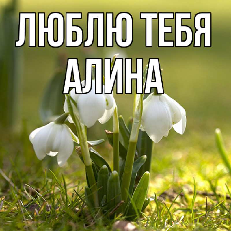 Картинка Люблю тебя, Алина