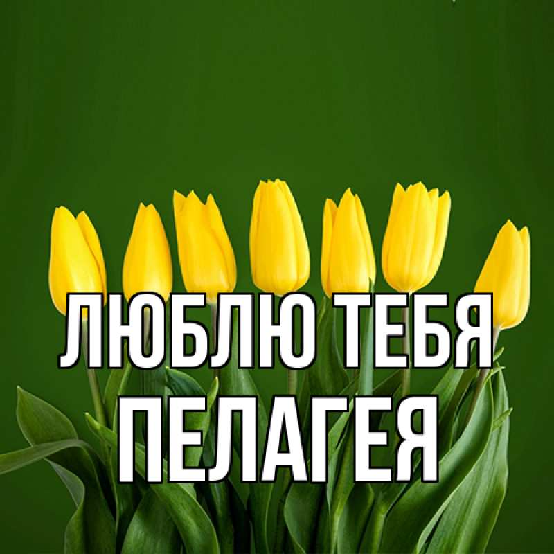 Картинка Люблю тебя, Пелагея