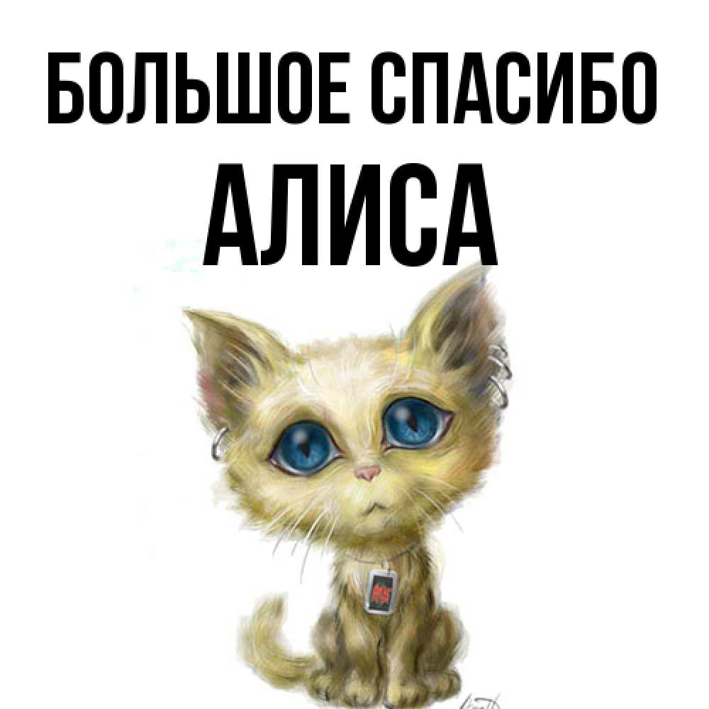 Открытка на каждый день с именем, Алиса Большое спасибо рисованный кот благодарит вас Прикольная открытка с пожеланием онлайн скачать бесплатно 