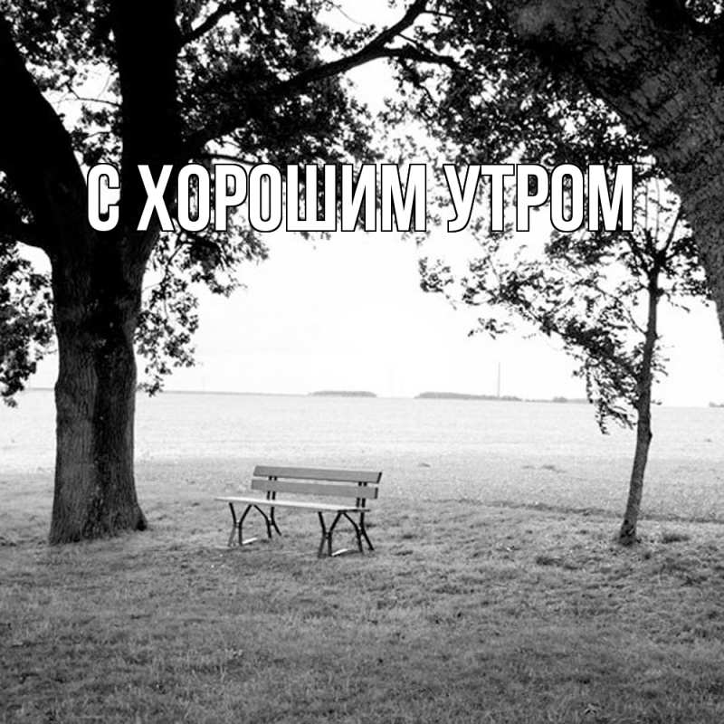 Картинка Скучашки, Фарида