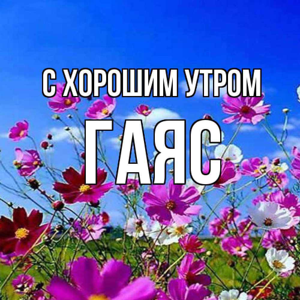 Открытка на каждый день с именем, Гаяс С хорошим утром сиреневые цветы Прикольная открытка с пожеланием онлайн скачать бесплатно 
