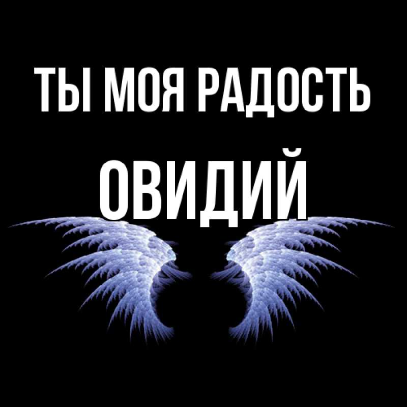Картинка Ты моя радость, Овидий