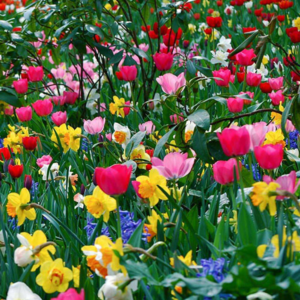 Открытка на каждый день с именем, Богдан Люблю тебя с международным женским днем поздравления для женщины Прикольная открытка с пожеланием онлайн скачать бесплатно 