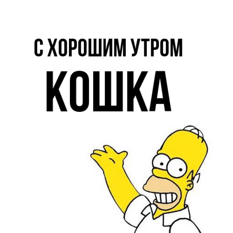 Картинка С хорошим утром, Кошка