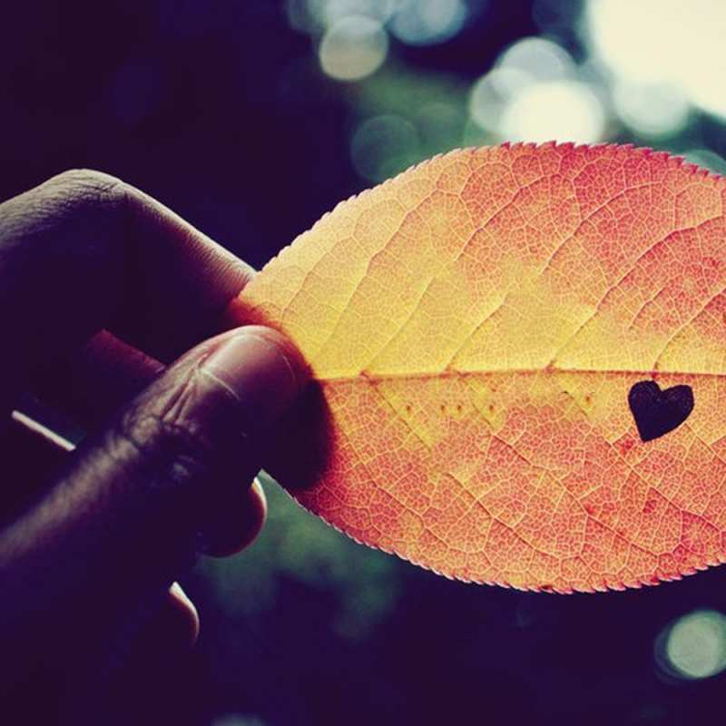 Картинка С любовью тебе, Азарий