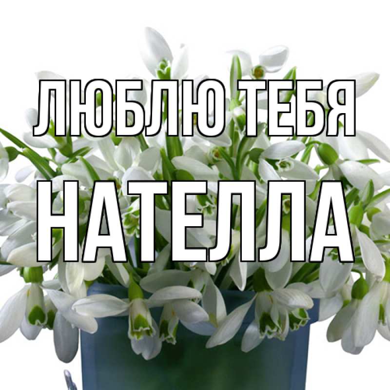 Картинка Люблю тебя, Нателла