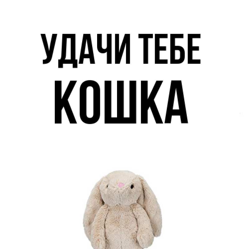 Картинка Удачи тебе, Кошка